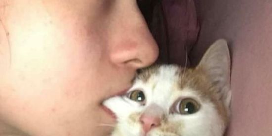 Imagem do grupo de WhatsApp Grupo de figurinhas