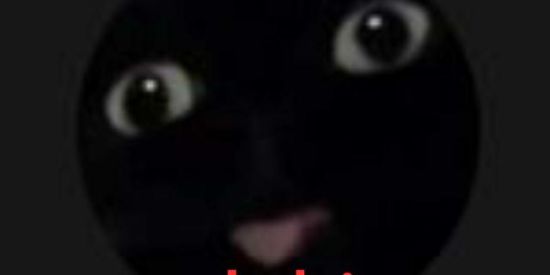 Imagem do grupo de WhatsApp bonde do redskin_