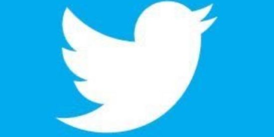 Imagem do grupo de WhatsApp Divulgando Twitter 🌀🥰