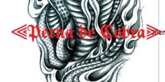 Imagem do grupo de WhatsApp ⫷🐍Perna de Cobra🐍⫸