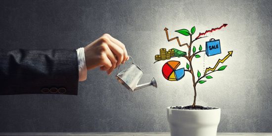 Imagem do grupo de WhatsApp 💴💶Canal FerinVest 💷💴