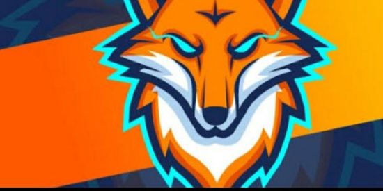 Imagem do grupo de WhatsApp TEAM FOX BR🔥