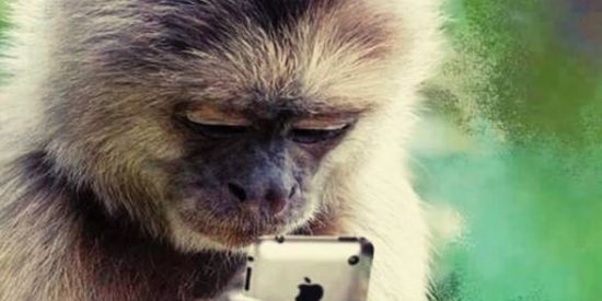 Imagem do grupo de WhatsApp Mundo das Figurinhas 🗯️