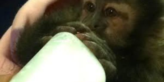 Imagem do grupo de WhatsApp SHITPOST🙈