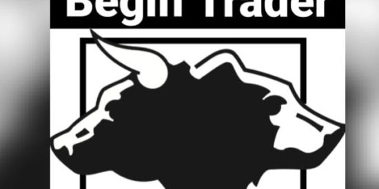 Imagem do grupo de WhatsApp Begin Trader🙅🏾‍♂️