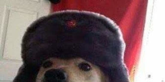 Imagem do grupo de WhatsApp NOSSO meme