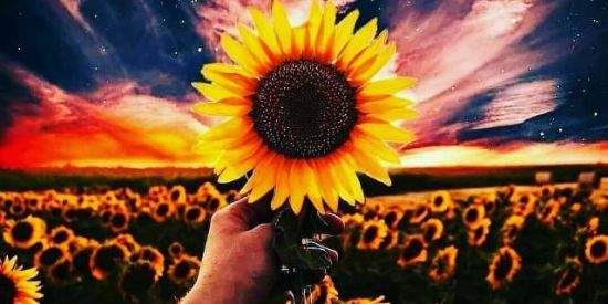 Imagem do grupo de WhatsApp Whallpapers,figuinha,stts