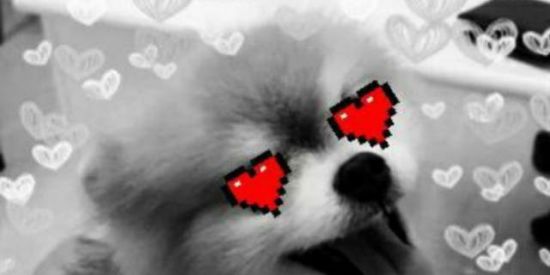 Imagem do grupo de WhatsApp SHITPOST BR