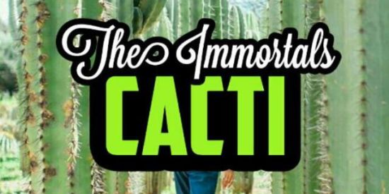 Imagem do grupo de WhatsApp ⚜️ RECRUTAMENTO DARICO'S⚜️