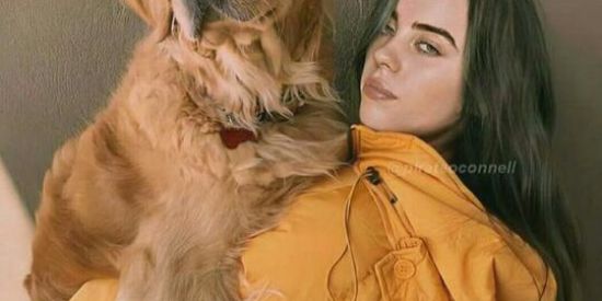 Imagem do grupo de WhatsApp 💚🥑Fã clube da B . eilish💚