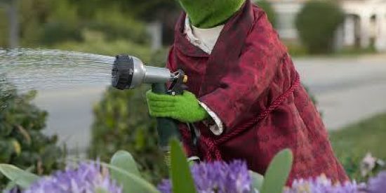 Imagem do grupo de WhatsApp 🌀 Figurilândia 🌀