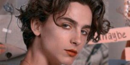 Imagem do grupo de WhatsApp Sla só gosto do timothee🐦