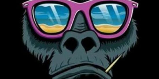 Imagem do grupo de WhatsApp GRUPO 💯 FREIO😎🍃