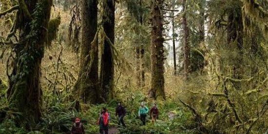 Imagem do grupo de WhatsApp Trilhas e Aventuras LDA 🎿