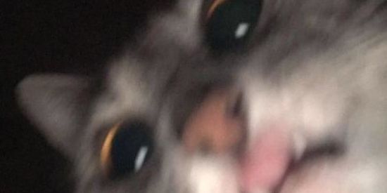 Imagem do grupo de WhatsApp Família do Insta❤🔥