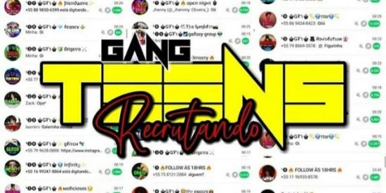 Imagem do grupo de WhatsApp ✨Recrutamento ♚Ǥ₮'ร♚✨