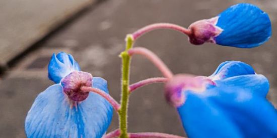 Imagem do grupo de WhatsApp Familia do insta 🔥😀