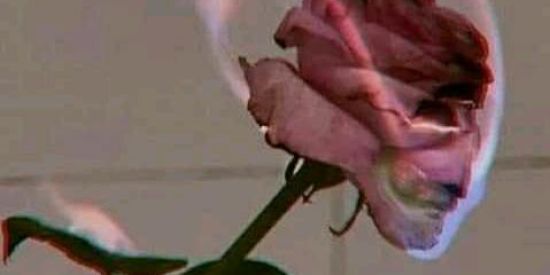 Imagem do grupo de WhatsApp ~♥️🤭Figurinhas E Stickers~