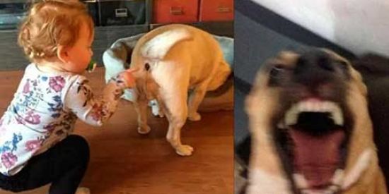 Imagem do grupo de WhatsApp 🍂👻ɓαɓყร ∂σ ɱαl👶🏽🍃