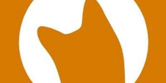 Imagem do grupo de WhatsApp Divulgação de cc😼