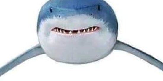 Imagem do grupo de WhatsApp PÃO COM OVO