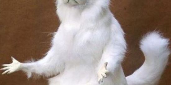 Imagem do grupo de WhatsApp tédio da quarentena🙃😅