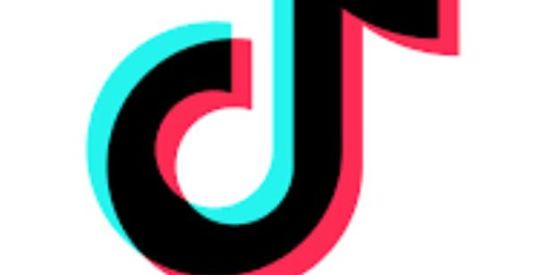 Imagem do grupo de WhatsApp 😁 TIKTOKER_BR😙