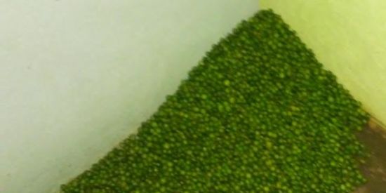 Imagem do grupo de WhatsApp Sos JURUBEBA💥🥱