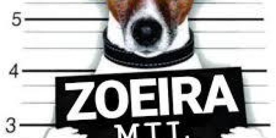 Imagem do grupo de WhatsApp Grupo da Zueira