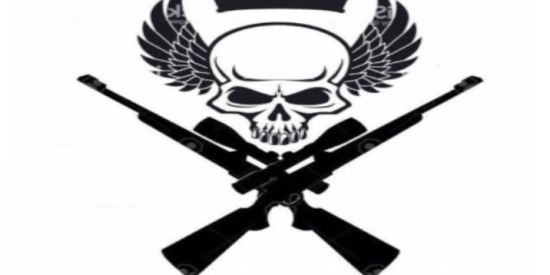 Imagem do grupo de WhatsApp ❗⚠️RECRUTANDO MENBROS⚠️❗