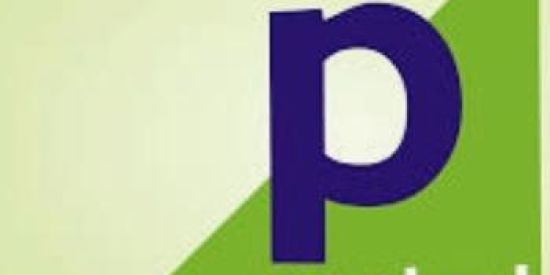 Imagem do grupo de WhatsApp PONTUAL💰