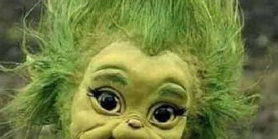 Imagem do grupo de WhatsApp 🤣Retardados anônimo🤣