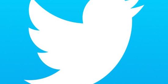 Imagem do grupo de WhatsApp 💙Twitter BR💙