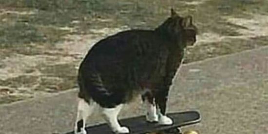 Imagem do grupo de WhatsApp Grupo...