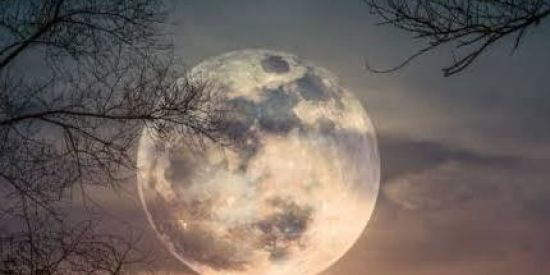 Imagem do grupo de WhatsApp Travesti namoro e amizade