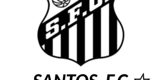 Imagem do grupo de WhatsApp GUILDA FF -SANTOS_F.C ☆