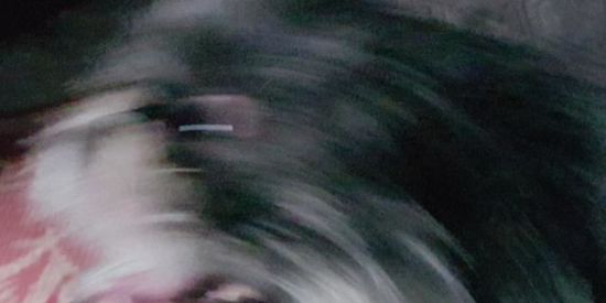 Imagem do grupo de WhatsApp ALEATÓRIO MEMO