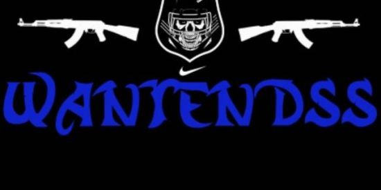 Imagem do grupo de WhatsApp WANTENDSs⚔️