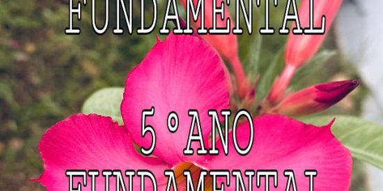 Imagem do grupo de WhatsApp 6° ano 5° ano🙃