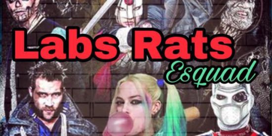 Imagem do grupo de WhatsApp 10 LABS RATS 2️⃣4️⃣ 🅗