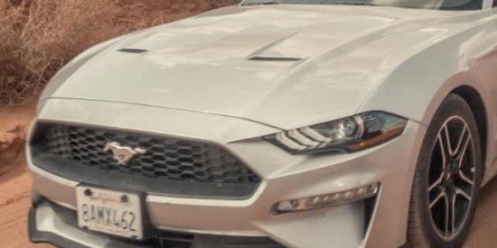 Imagem do grupo de WhatsApp 🔰Projeto 2♔KG♔🔰