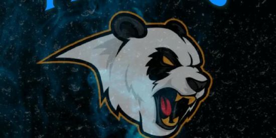 Imagem do grupo de WhatsApp Projeto panda🐼❤️