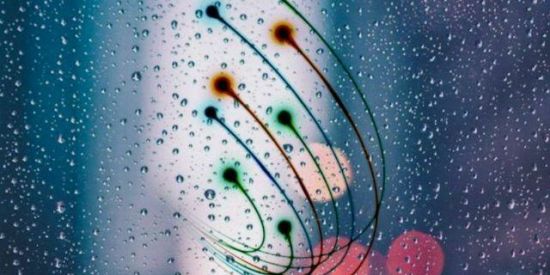 Imagem do grupo de WhatsApp Lᴏᴊᴀ ᴅᴏ ᴍɪsᴛᴇʀ