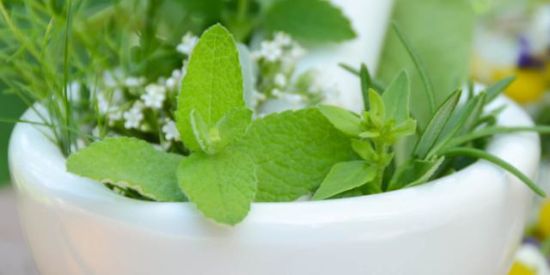 Imagem do grupo de WhatsApp 🌿🌱Medicina Plantae 🌱🌿