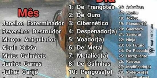 Imagem do grupo de WhatsApp ᎡᏆΝᎻᎪ ᎠΘՏ ᏀᎪᏞΘ ᏞΘᏦΘ