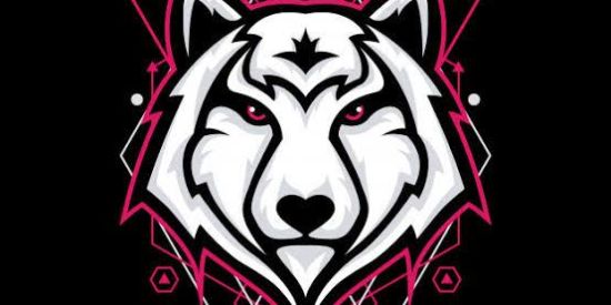 Imagem do grupo de WhatsApp 🐺Fúrias Negras🐺