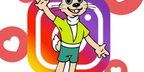 Imagem do grupo de WhatsApp INICIO DO PROJETO