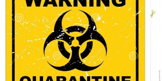 Imagem do grupo de WhatsApp ⚠️ quarantine area⚠️