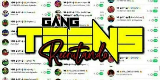 Imagem do grupo de WhatsApp RECRUTAMENTO ♚Ǥ₮'ร♚8