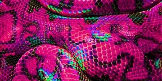 Imagem do grupo de WhatsApp Figurinhas